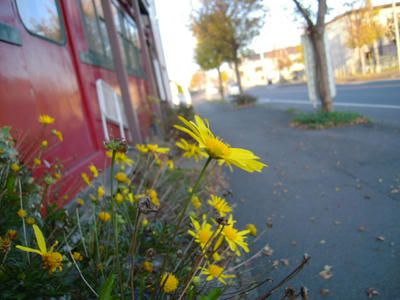 DSCN1397.JPG