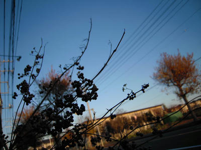 DSCN1399.JPG