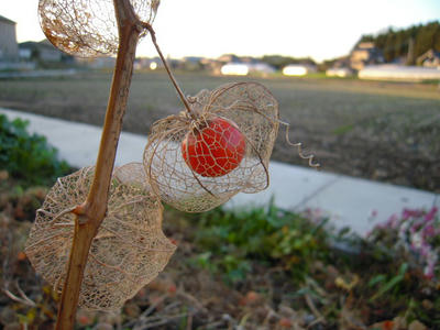 DSCN1400.JPG