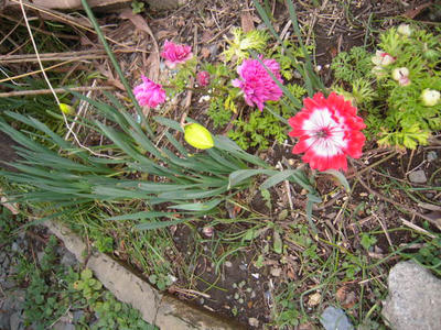 DSCN2480.JPG