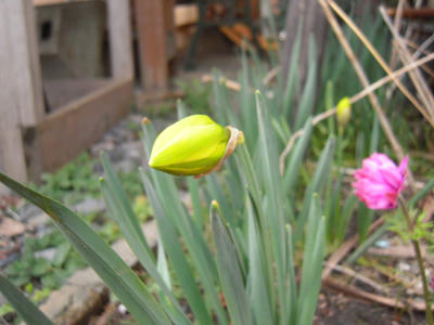 DSCN2481.JPG