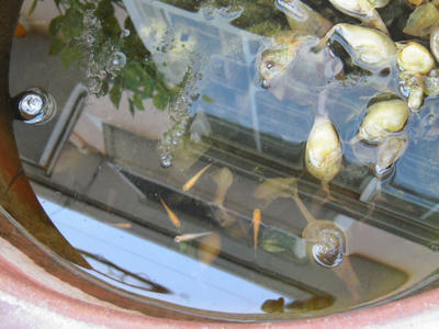 DSCN3060.JPG