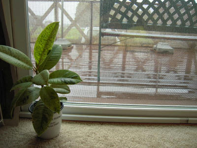 DSCN3589.JPG