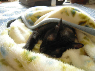 DSCN3587.JPG