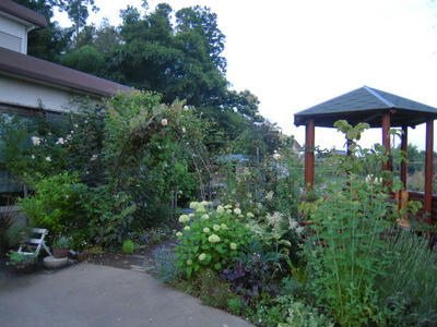 8530c38d.jpg