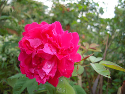 014bd293.jpg