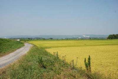 887f5b03.jpg
