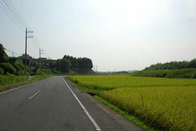 c9f8e444.jpg