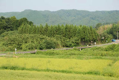 44a1f28c.jpg