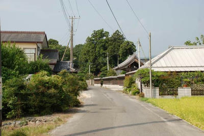 320c06a6.jpg