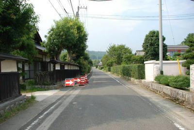 826562a5.jpg