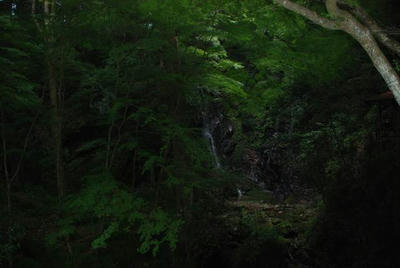 e4614c57.jpg