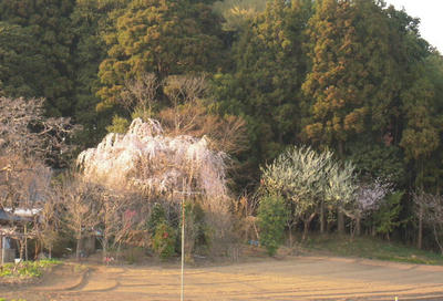 DSCN5664.JPG