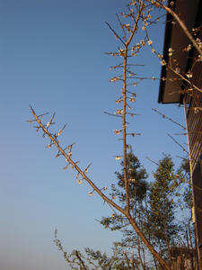 DSCN5667.JPG