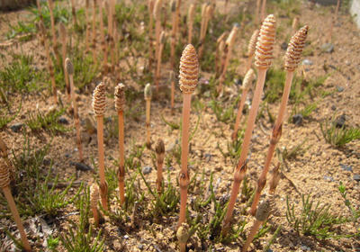 DSCN5697.JPG