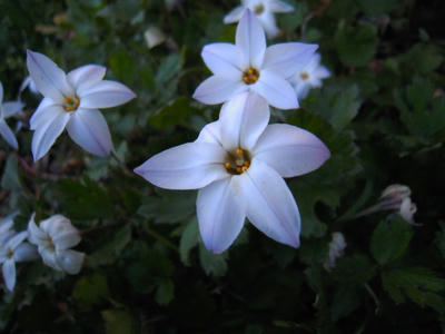 DSCN5712.JPG