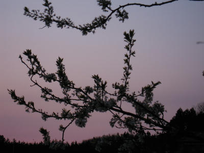 DSCN5715.JPG