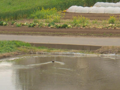 DSCN5920.JPG