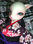 080206_01.jpg