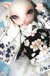 080225_12.jpg