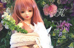 kasane_meishi_6s.jpg
