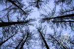 081109_01k.jpg