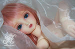 081229_04s.jpg