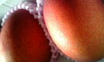 090520_01.jpg