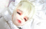 090604_01top.jpg