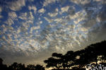 090904_02k.jpg