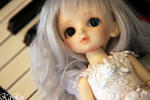 091023_01.jpg