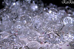 100413_03.jpg