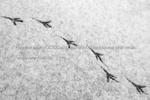 120104_01k.jpg