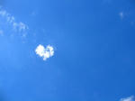 f97f7e8_1236408980286.jpg
