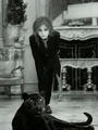 hide