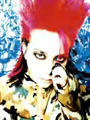 hide，ｓ