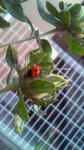 200906061903000.jpg