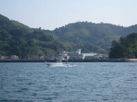 IMG_0008.jpg
