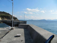 IMG_7261.jpg