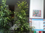 P1000745.JPG