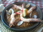 P1000766.JPG