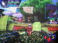Lovia_in_PhantasyStarOnline