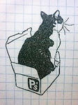 箱が好き