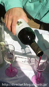 2010ルバイヤート新酒（丸藤葡萄酒工業(株)）