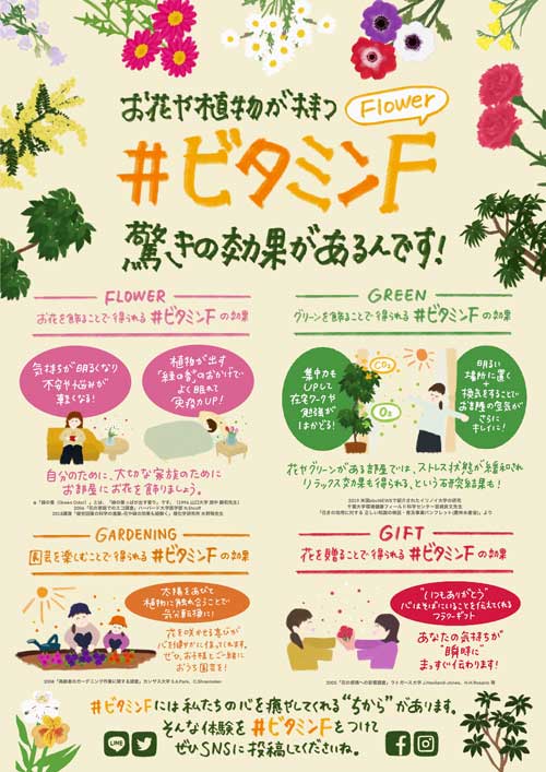 花が人々にもたらす癒しと元気を心の栄養＝「ビタミンF」