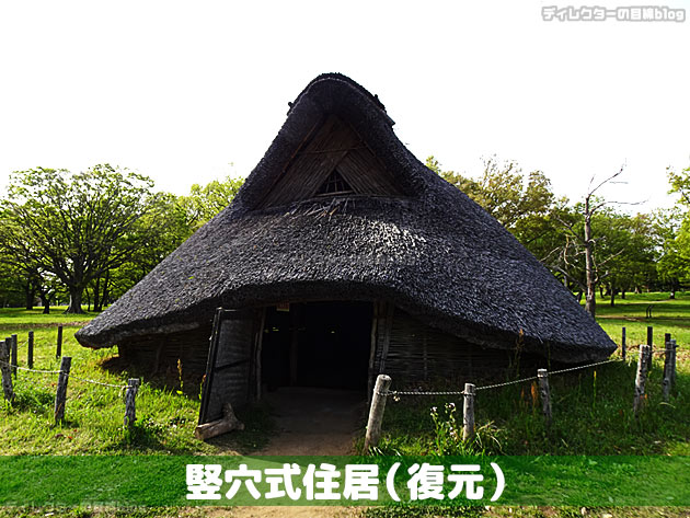 竪穴式住居（復元）(千葉市立加曽利貝塚博物館)