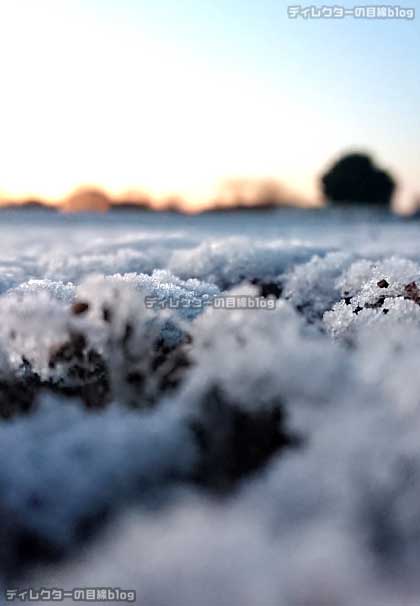 畑が一面雪で覆われて