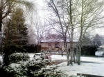 P1000011.JPG