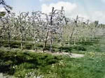 P1000063.JPG