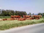 P1000058.JPG